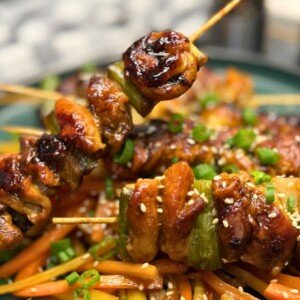 Teriyaki Chicken Skewers Feature Image